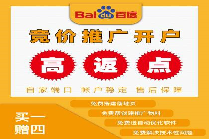 百度广告投放的创意策略及案例分析